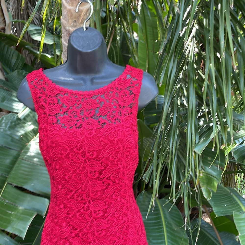 White House lace sheath dress